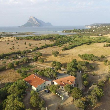 B&B La Taerra Porto San Paolo  Exteriör bild