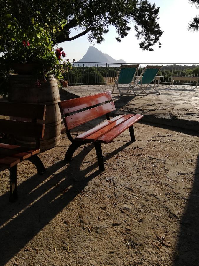 B&B La Taerra Porto San Paolo  Exteriör bild